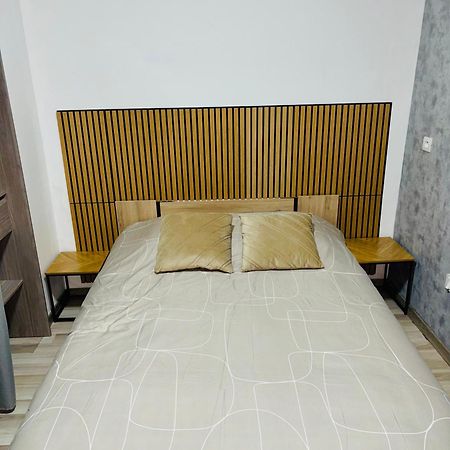 Appartement Moderne Centre Ville De Діжон Екстер'єр фото