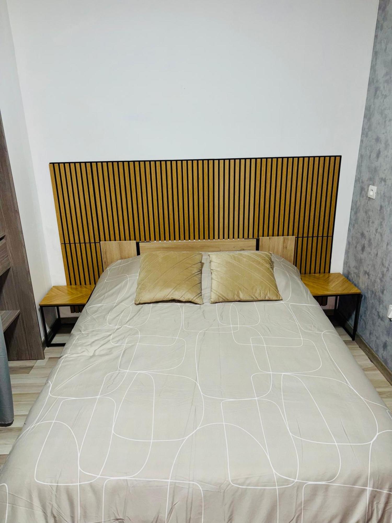 Appartement Moderne Centre Ville De Діжон Екстер'єр фото